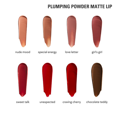 Plumping Powder Matte Lip Bundle